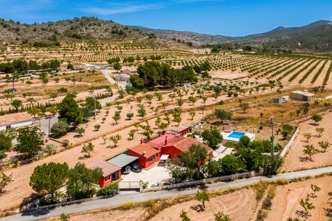 Villa i Pinoso, Alicante, Pinoso - € 274.999 | Ref: CCP848 - foto 5